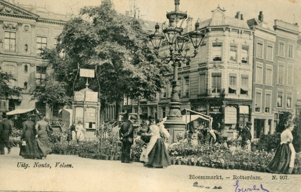 N.00907