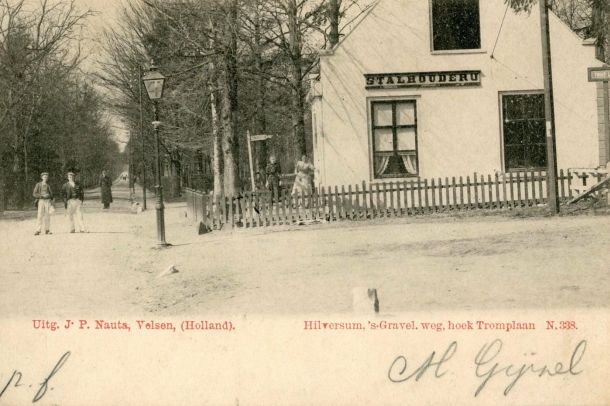N.00338